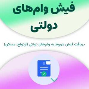 فیش وام‌های دولتی