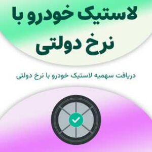 لاستیک خودرو با نرخ دولتی